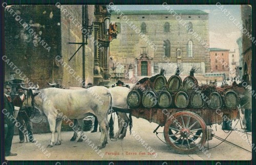 Perugia città carro - carro, buoi