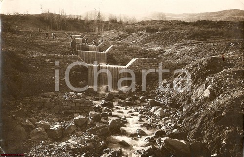 1930 milizia forestale - forestale, sponde