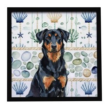 Beauceron Coastal Sea vetro