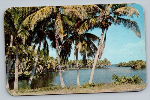 Captiva island piantagione - captiva,