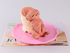 Maltipoo - Figura OyasuMix dal