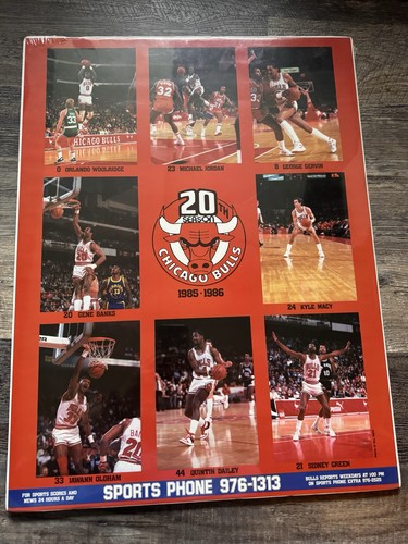 Poster squadra chicago bulls - poster,