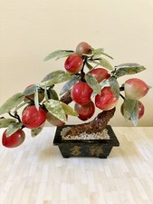 Bonsai pesco giada - di, di