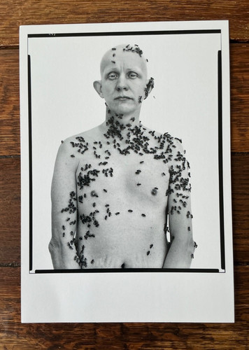 Richard avedon biglietto - richard,