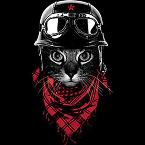 Lady shirt biker - biker-cat, t-shirt