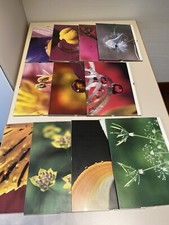 Set Foto Da Appendere Colorate Tema Fiori Con Supporto E Vetro Protettivo