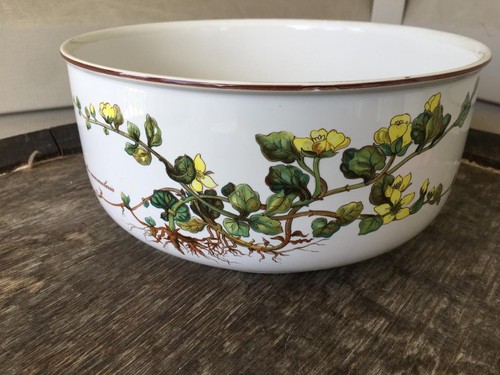 Villeroy and boch botanica - and,