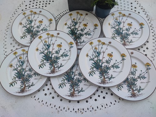 Sublime grandes assiettes - ,
