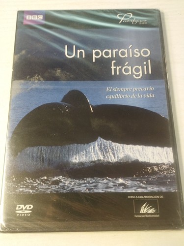 Bbc paradiso fragile - bbc,