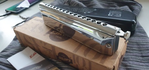 Armonica bocca professionale - a,