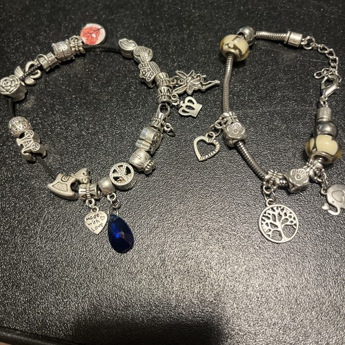 Lotto bracciali charm - 2,