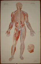 stampa antica old print