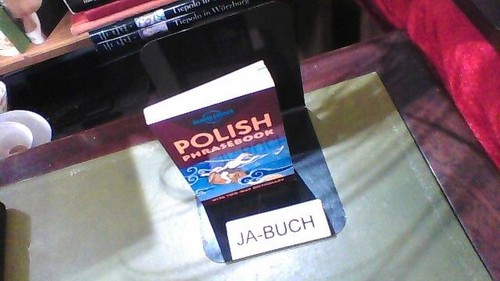 Lonely planet polish - lonely,