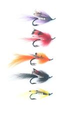 Arctic Ally's Gamberetti