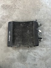 Radiatore Scarabeo 200
