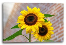 Tela/Cornice Primo piano di