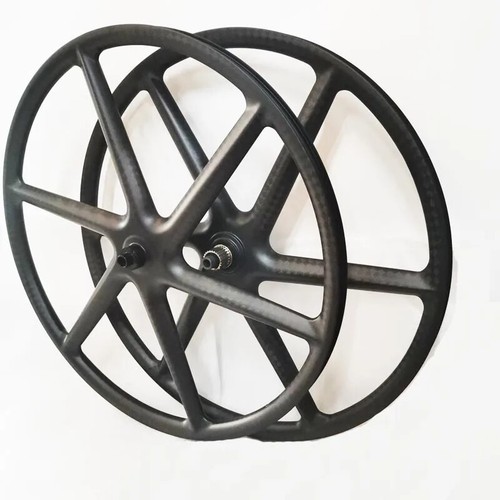 Ruota 29er raggi - ruota,
