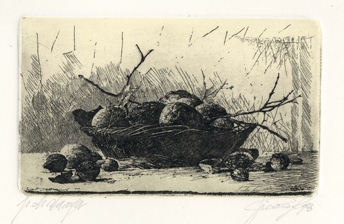 Livio ceschin natura morta - , "