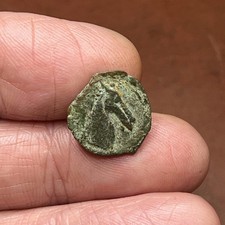 Cartagine, ZEUGITANIA. AE 15