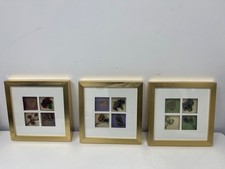 x3 Cornice Oro con Botanica