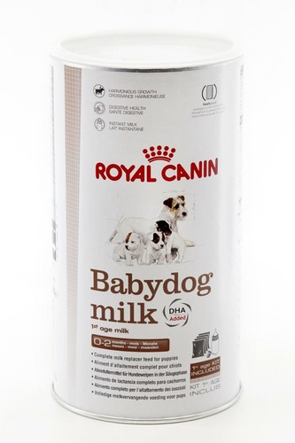 Royal canin babydog milk - canin,