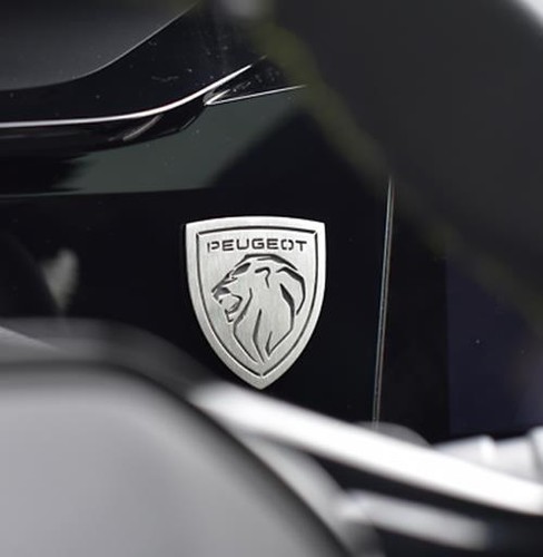 Placca peugeot 308 - peugeot,