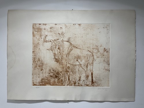 Aldo riso litografia - aldo,