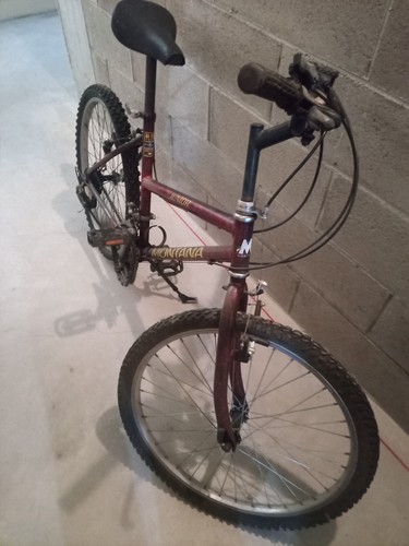 bicicletta