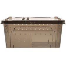  Terrario Tartarughe Recinto