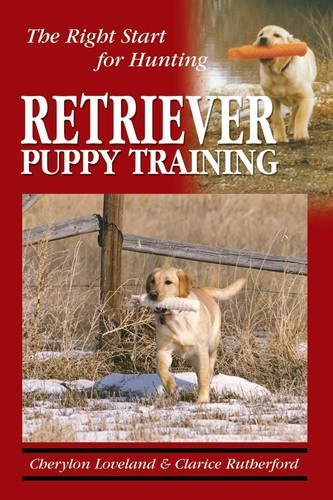 Retriever puppy training - retriever, the