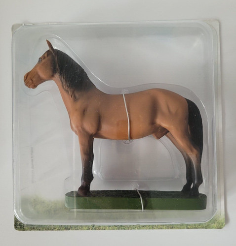 Cavallo miniatura - cavallo, da