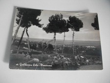 GIULIANOVA LIDO PANORAMA GREGGE DI PECORE