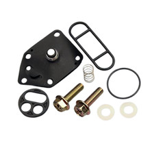 Kawasaki EN 500 C dal 1999 al