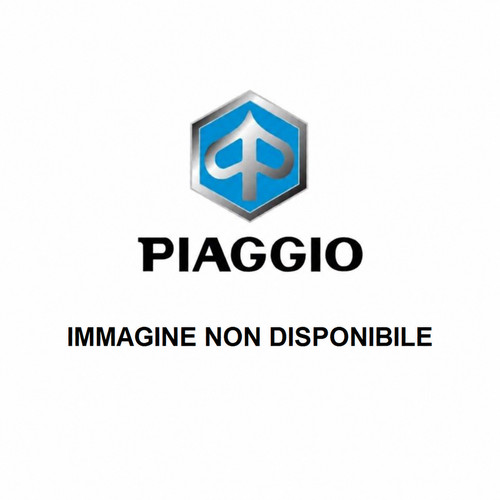 Gruppo strumenti piaggio - gruppo,