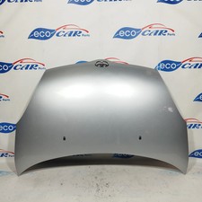 Cofano anteriore grigio