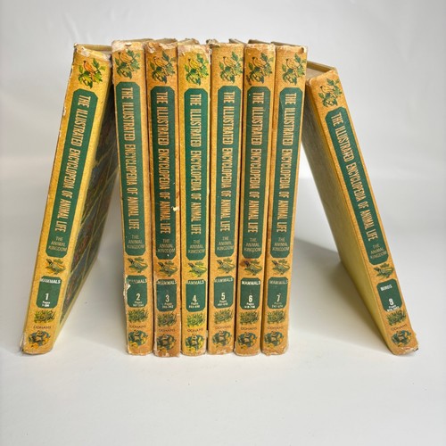 Lot illustrated - lot, of
