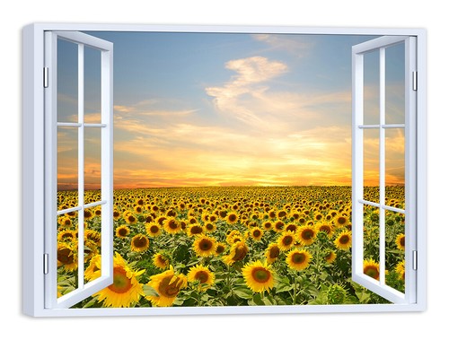 Quadro stampa tela con - su,