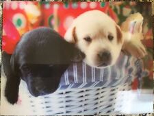 Lotto 3 Quadri 3D tela PVC cani Labrador cuccioli Decorazione Casa come cornice