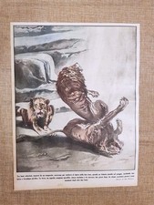 Retrocopertina Illustrazione