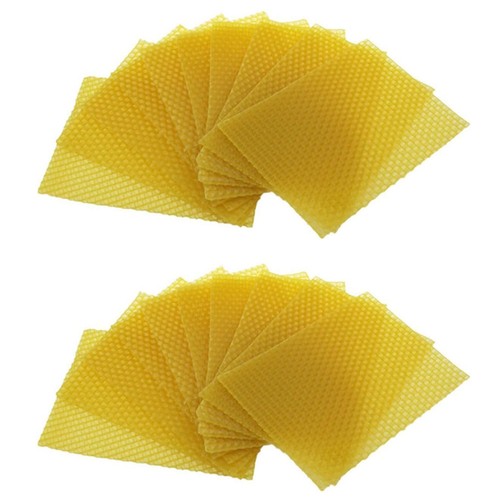 Fogli cera api di - di,