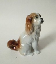 WAGNER APEL STATUINA CANE