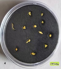 12 pepite d'oro naturali