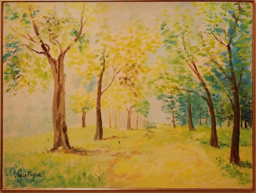 Parco alberato paesaggio - parco,