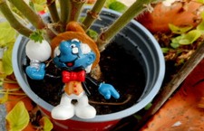 20504 Schtroumpf historique