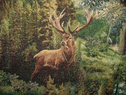 Foresta cervi arazzo tessuto - cervi,