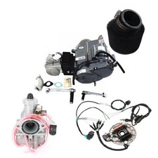 MANUALE MOTORE PIT BIKE LIFAN
