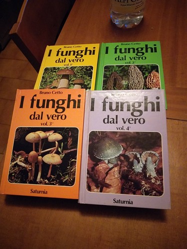 Bruno cetto funghi - bruno,