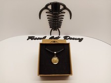 Fossil Shell Pendente Art.3spp