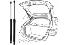 Pistoni Portellone Pistoncini