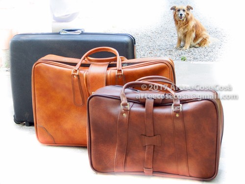 Set valigie similpelle - gm, +
